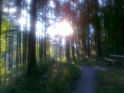 Goldener Ochs Panzió Golling an der Salzach Kültér fotó