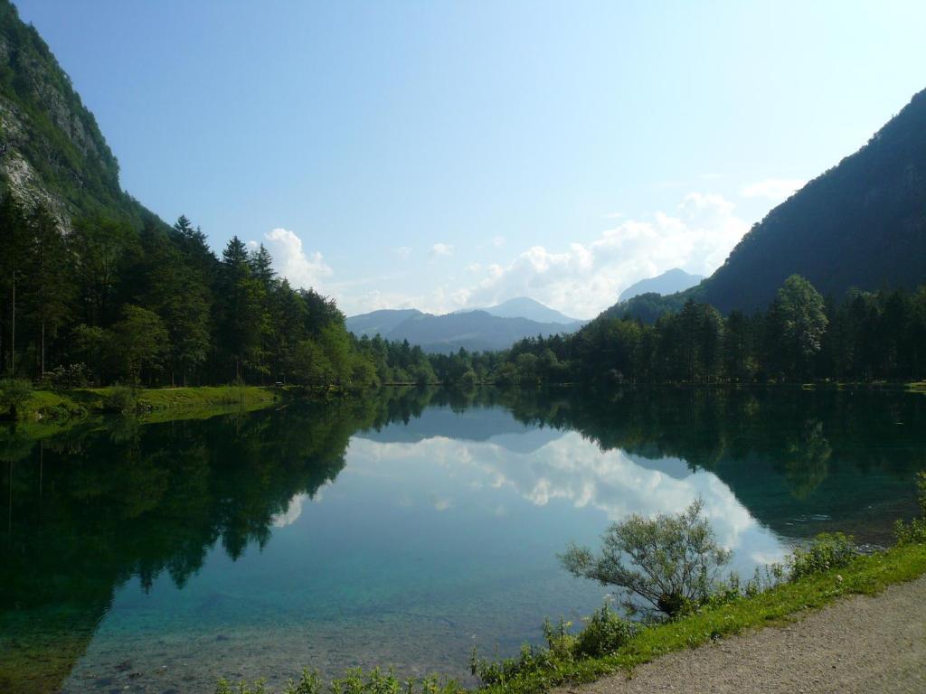 Goldener Ochs Panzió Golling an der Salzach Kültér fotó